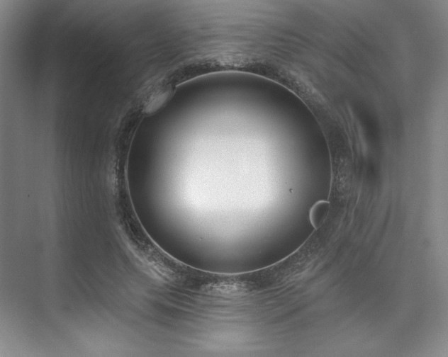 X0000073870639200608101510