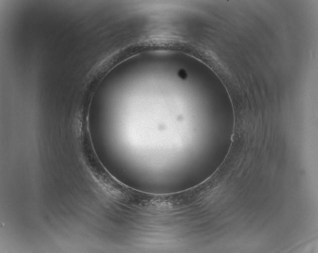 X0000073870640200608101510