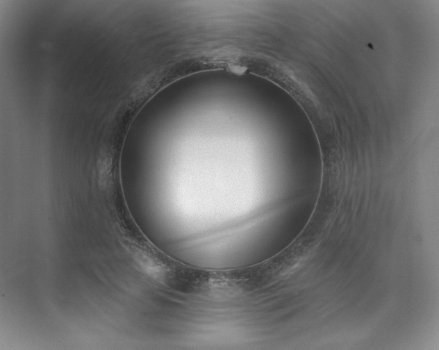 X0000073870641200608101511