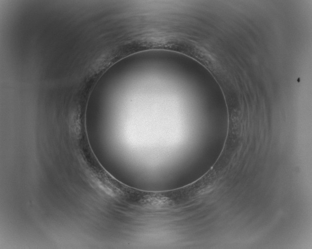 X0000073870642200608101511