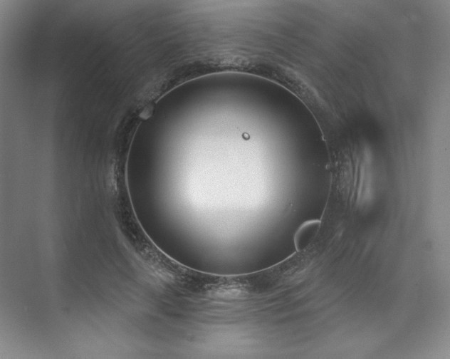 X0000073870643200608101511