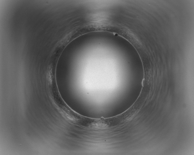 X0000073870644200608101511