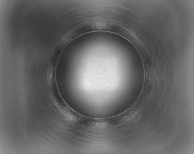 X0000073870645200608101511