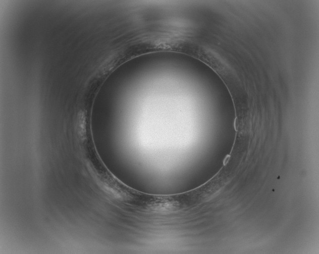 X0000073870646200608101511