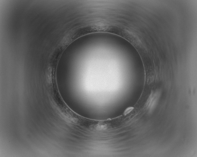 X0000073870647200608101511