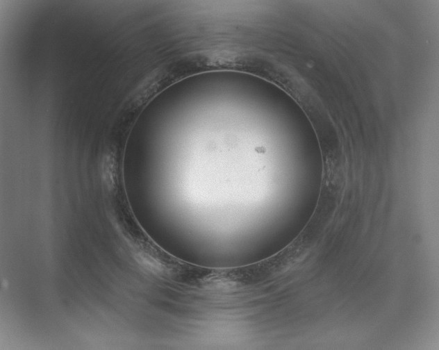 X0000073870648200608101511