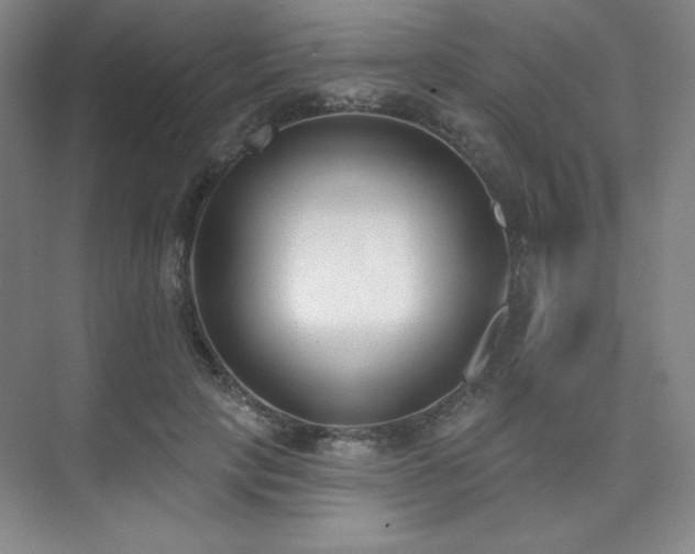 X0000073870649200608101511