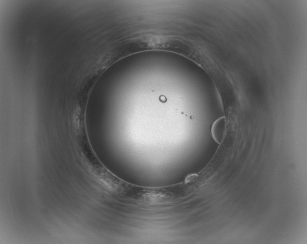 X0000073870650200608101511