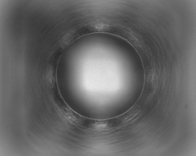 X0000073870651200608101511