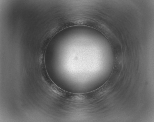 X0000073870652200608101511