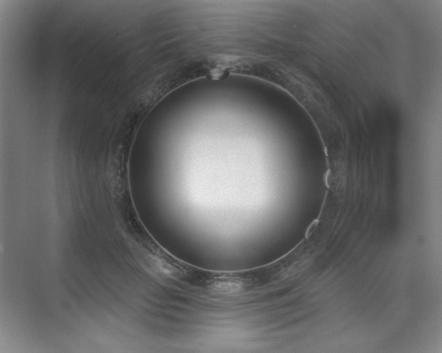 X0000073870653200608101511