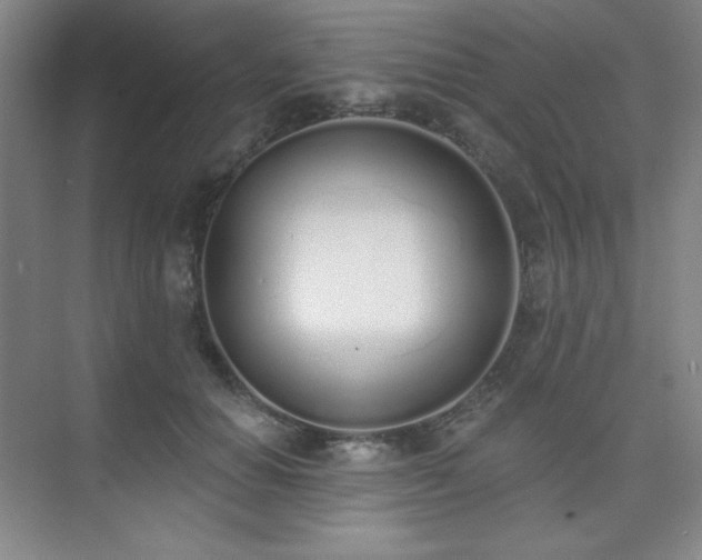 X0000073870654200608101511