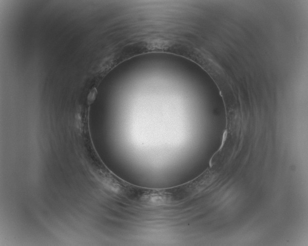 X0000073870655200608101511