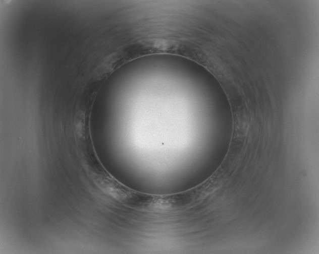 X0000073870656200608101511