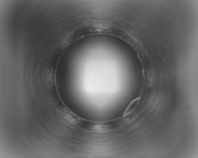 X0000073870657200608101511