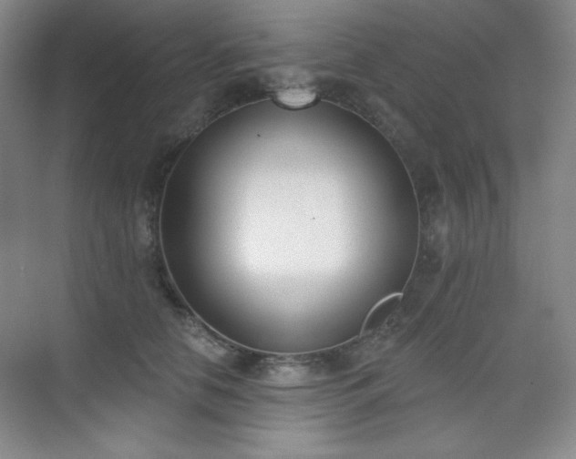 X0000073870658200608101511