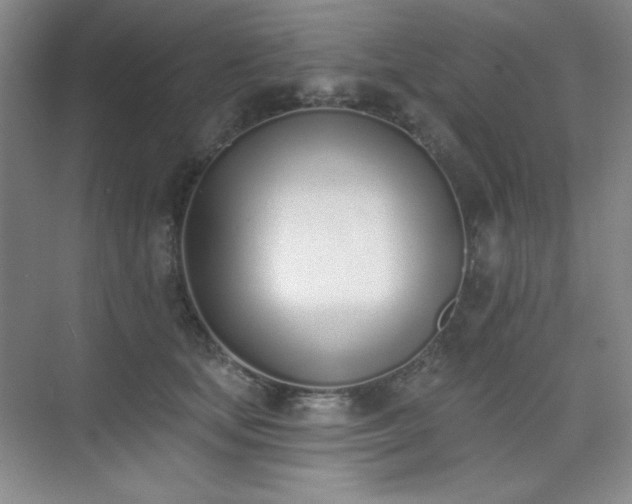 X0000073870659200608101511