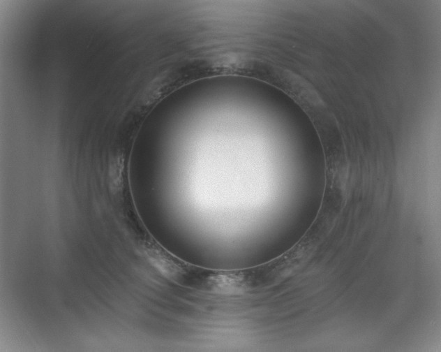 X0000073870660200608101511