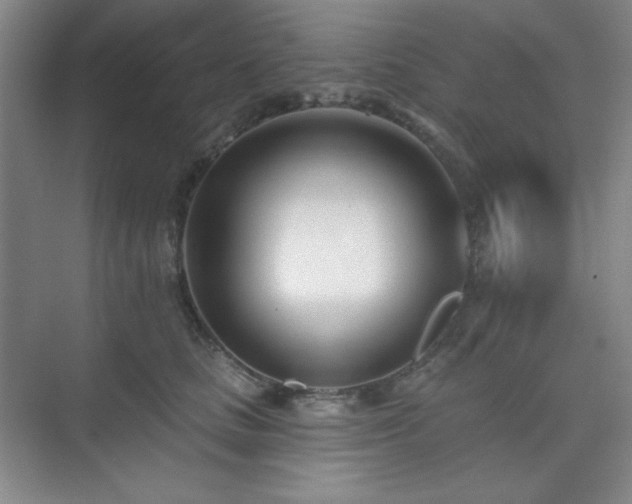 X0000073870661200608101511