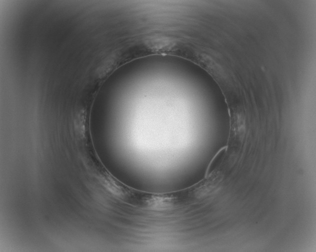 X0000073870664200608101511