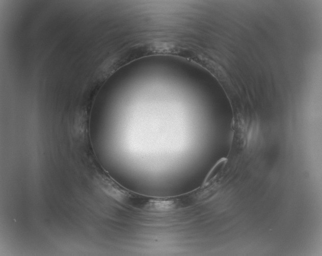 X0000073870665200608101511