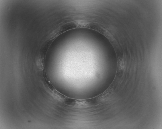 X0000073870666200608101511