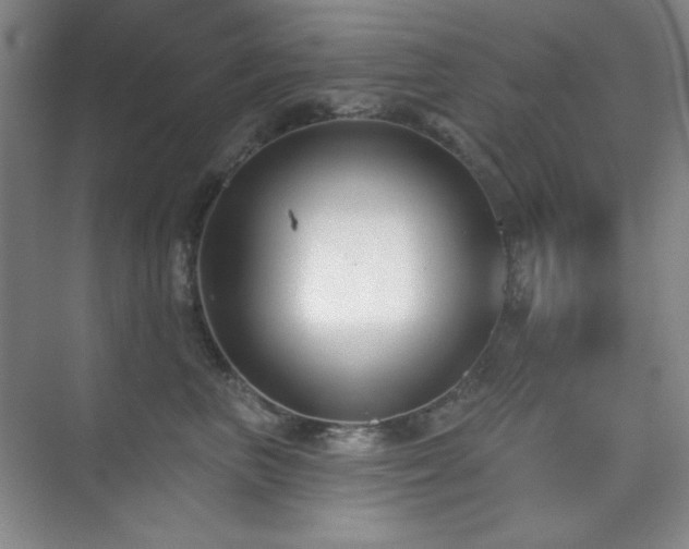 X0000073870667200608101511