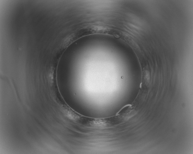 X0000073870668200608101511