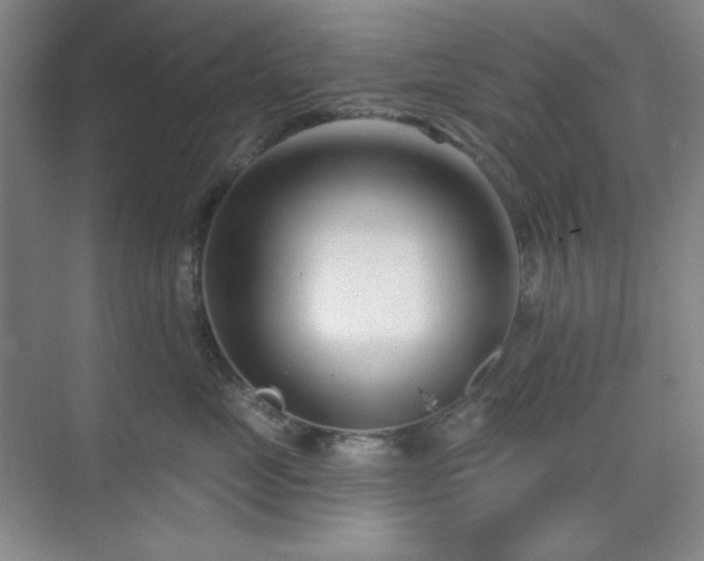 X0000073870669200608101511