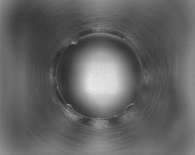 X0000073870670200608101511