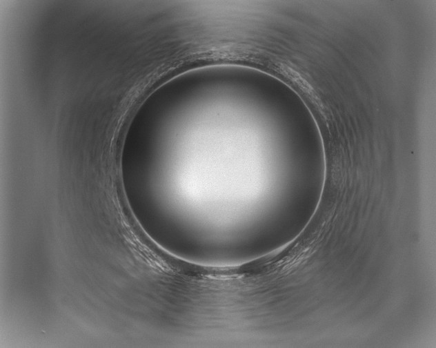 X0000073870673200608101510