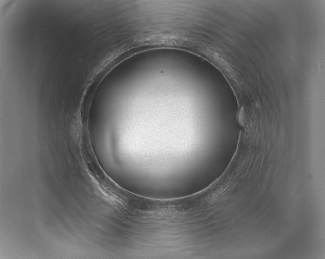 X0000073870674200608101510