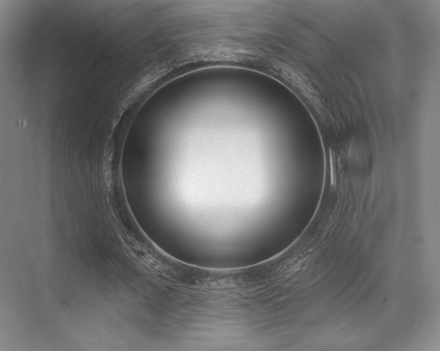 X0000073870675200608101510