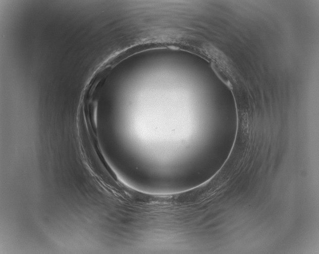 X0000073870676200608101510