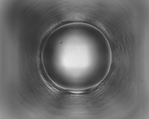 X0000073870677200608101510