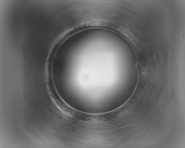 X0000073870678200608101510