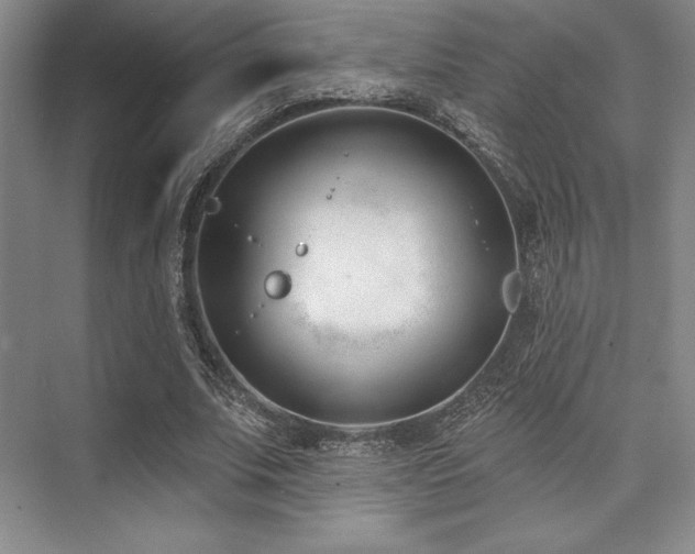 X0000073870679200608101510