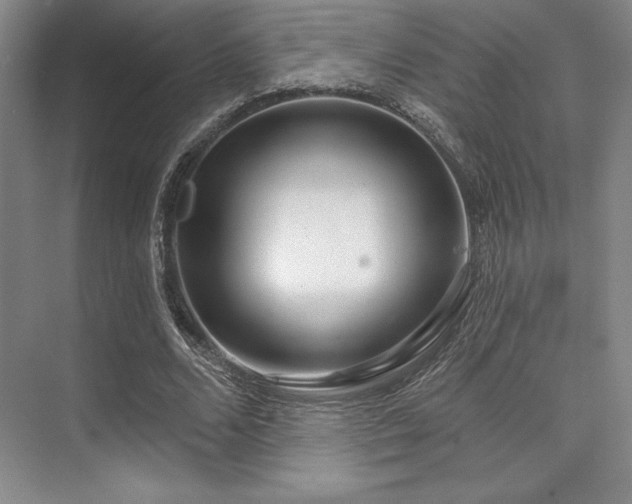 X0000073870680200608101510