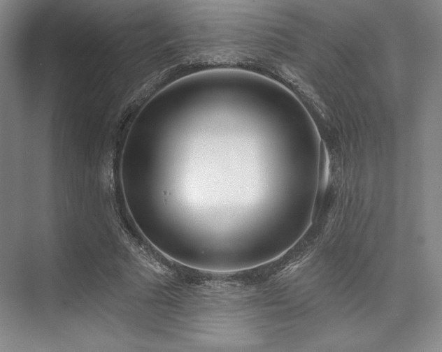 X0000073870681200608101510