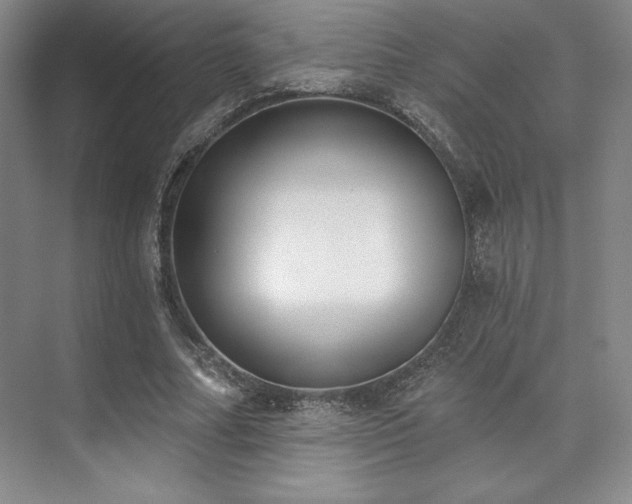 X0000073870682200608101510