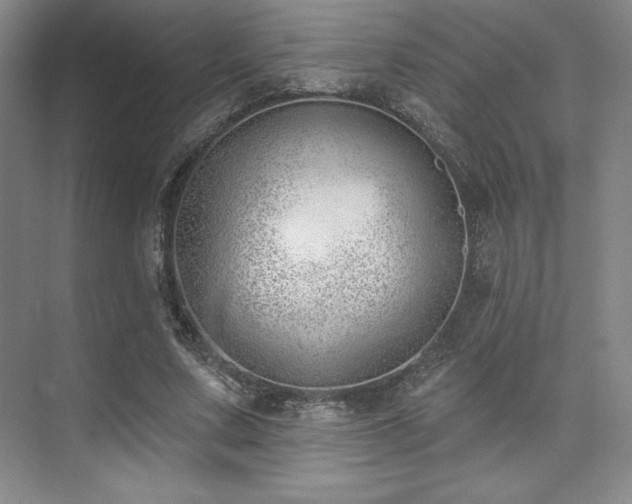 X0000073870683200608101510