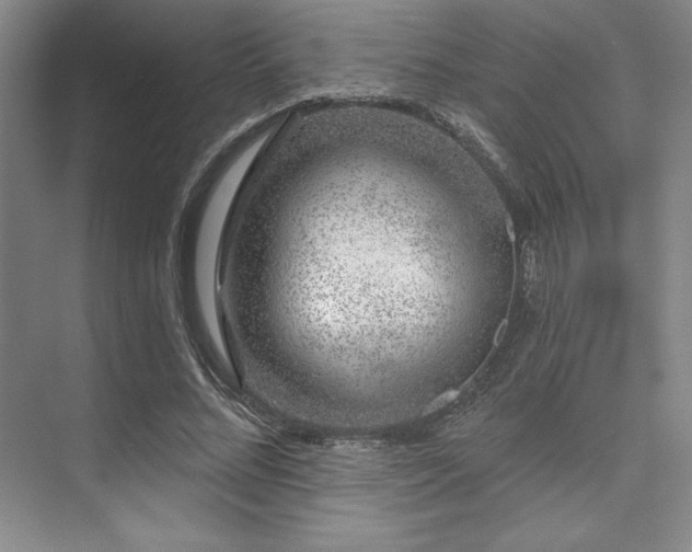 X0000073870684200608101510