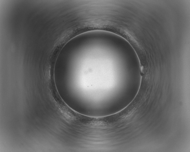 X0000073870685200608101510