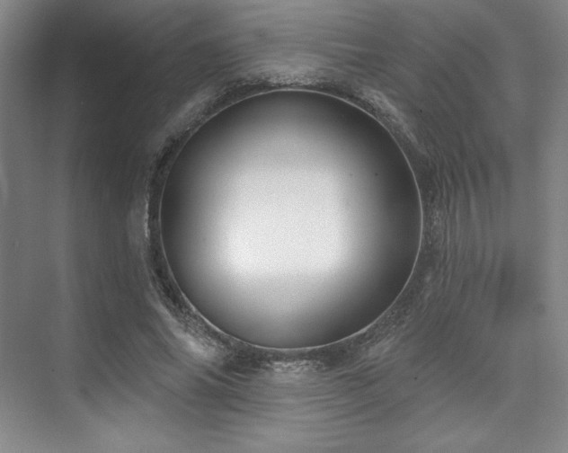 X0000073870686200608101510