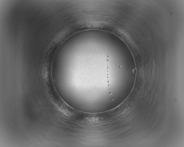 X0000073870687200608101510