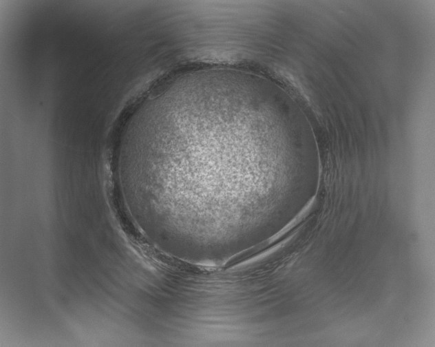 X0000073870688200608101510