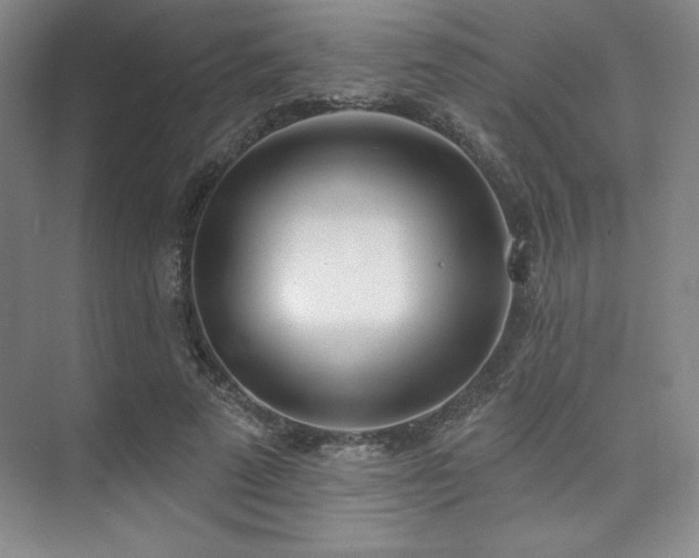 X0000073870689200608101510