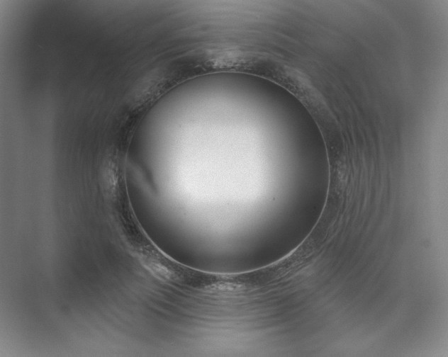 X0000073870691200608101510