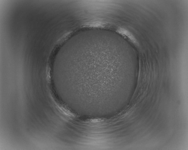 X0000073870692200608101510