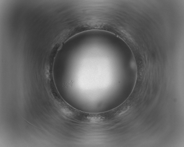 X0000073870693200608101510